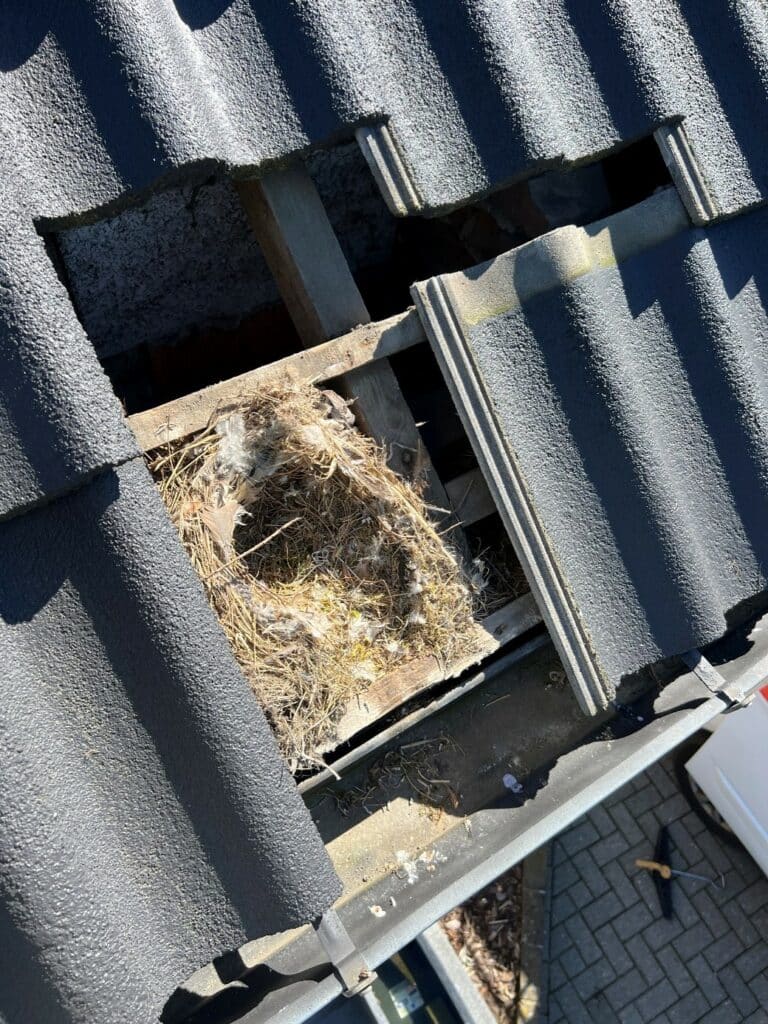 Isoleer een hellend dak